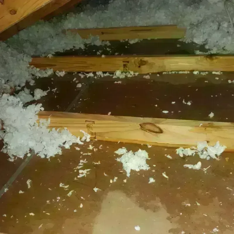 Attic Water Damage in West End-Cobb Town, AL