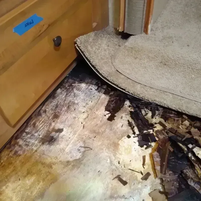 Wood Floor Water Damage in West End-Cobb Town, AL